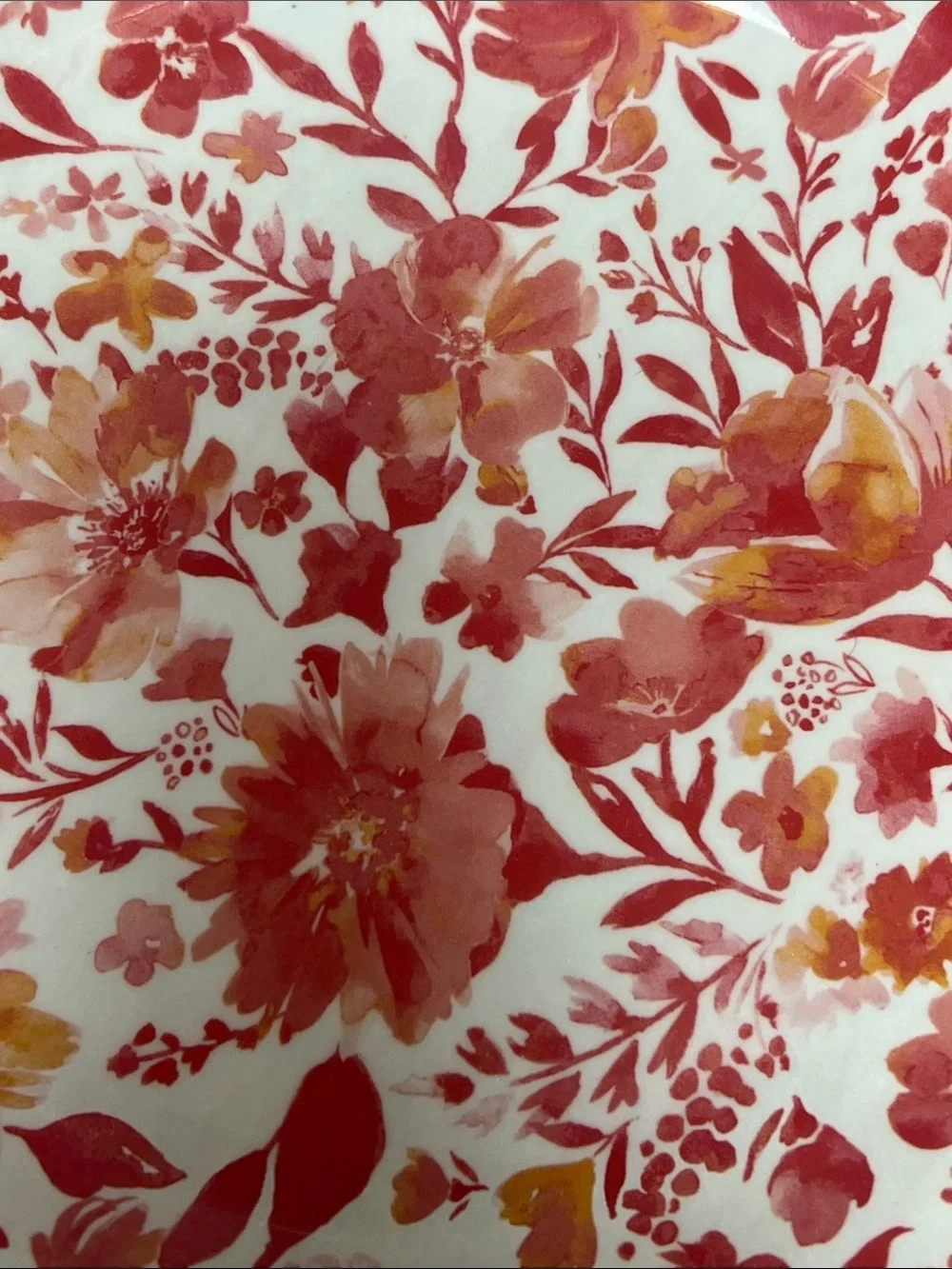 The Pioneer Woman set of 4 melanin floral luncheon plates